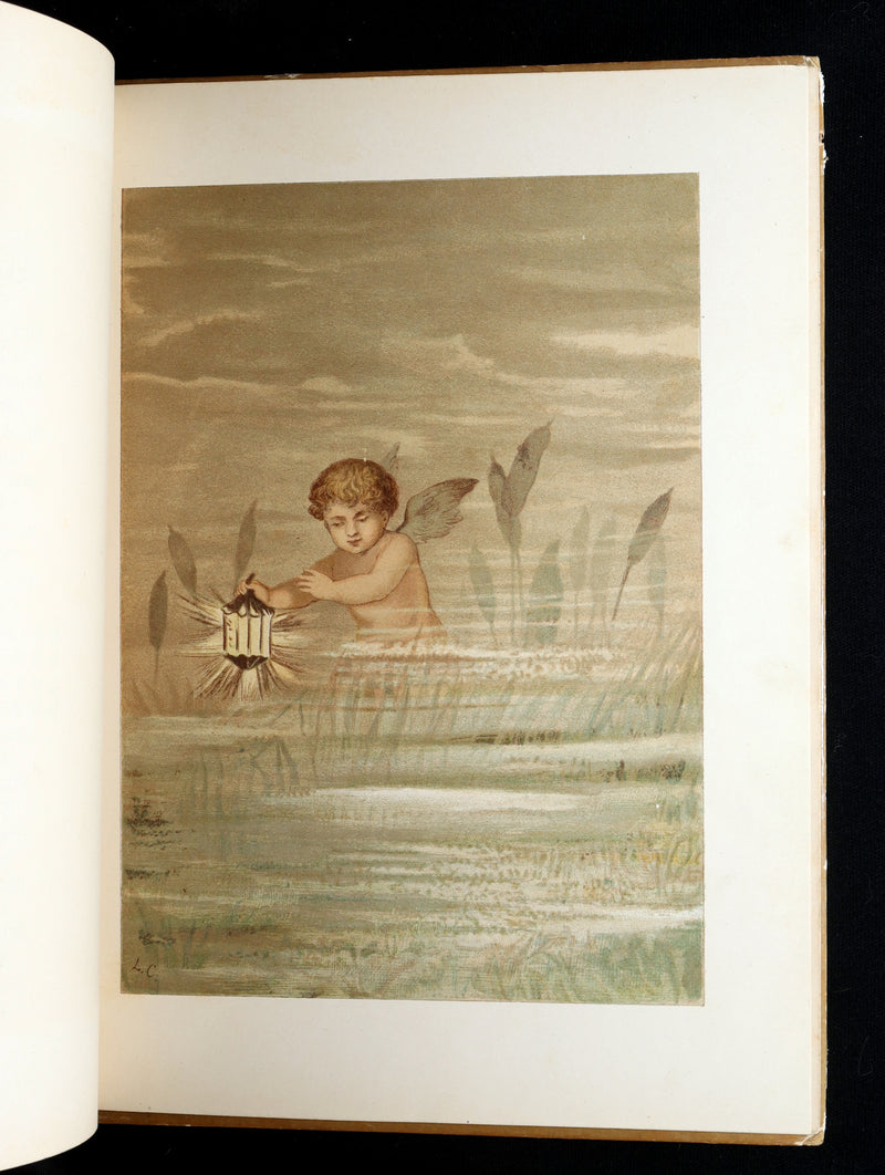 1882 Rare First Edition - Fly-Away Fairies and Baby-Blossoms by L. Clarkson
