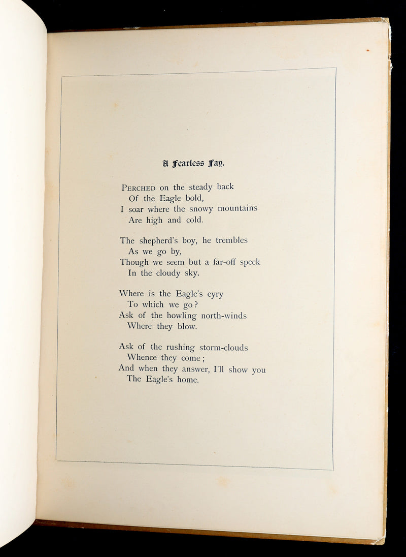 1882 Rare First Edition - Fly-Away Fairies and Baby-Blossoms by L. Clarkson