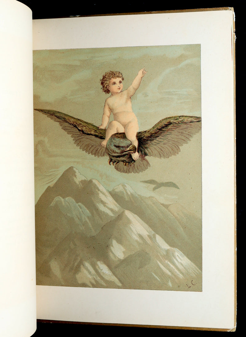 1882 Rare First Edition - Fly-Away Fairies and Baby-Blossoms by L. Clarkson