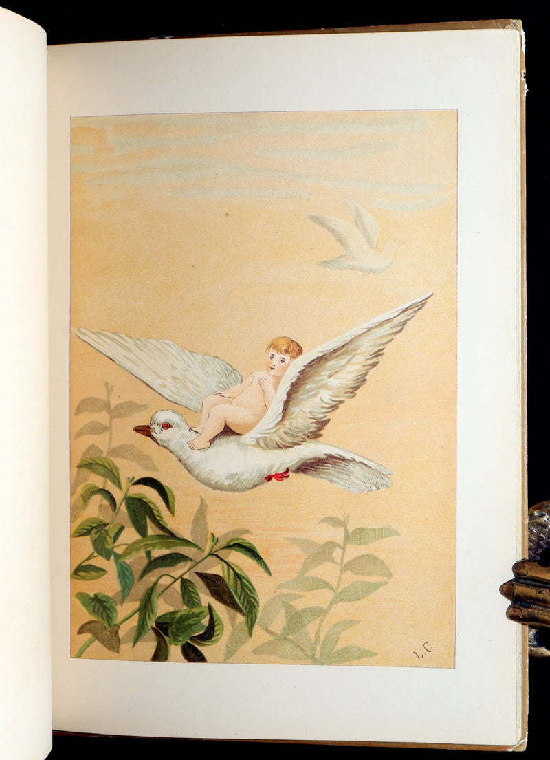 1882 Rare First Edition - Fly-Away Fairies and Baby-Blossoms by L. Clarkson
