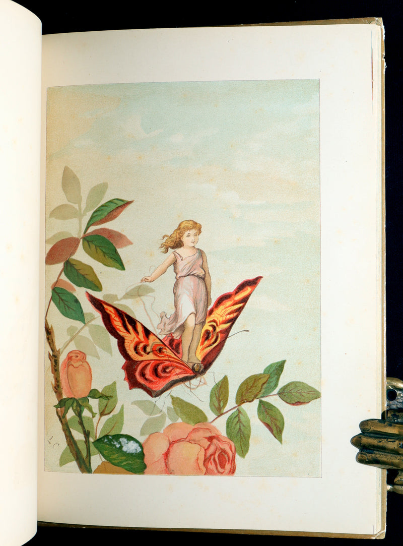 1882 Rare First Edition - Fly-Away Fairies and Baby-Blossoms by L. Clarkson