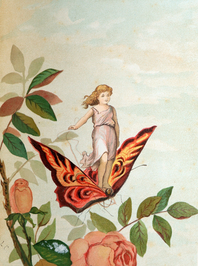 1882 Rare First Edition - Fly-Away Fairies and Baby-Blossoms by L. Clarkson