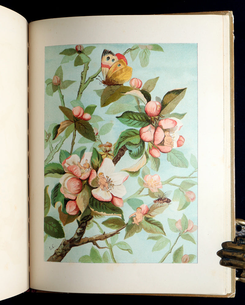 1882 Rare First Edition - Fly-Away Fairies and Baby-Blossoms by L. Clarkson