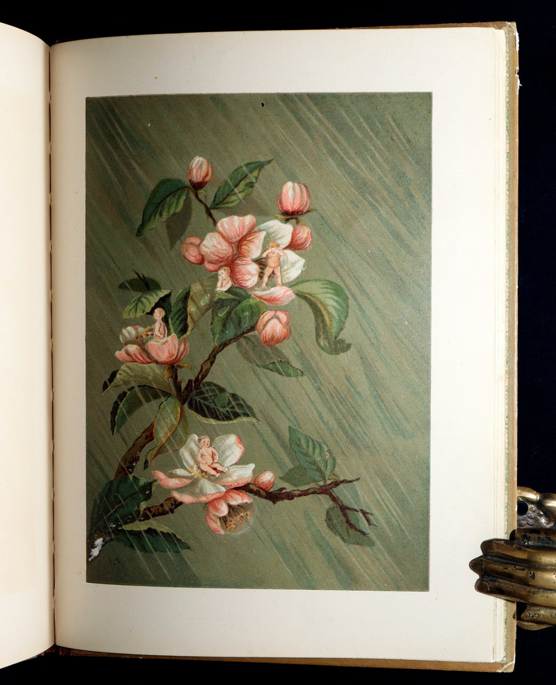 1882 Rare First Edition - Fly-Away Fairies and Baby-Blossoms by L. Clarkson