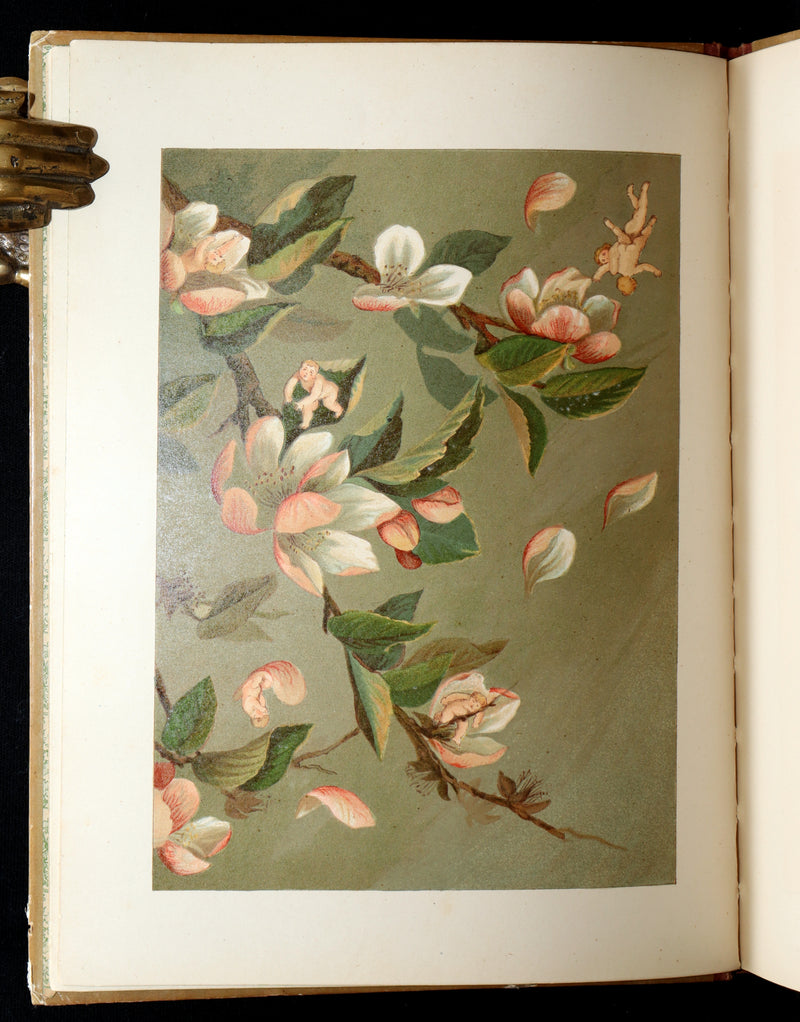 1882 Rare First Edition - Fly-Away Fairies and Baby-Blossoms by L. Clarkson