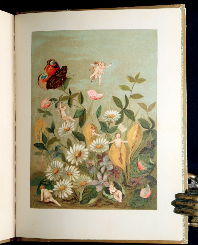 1882 Rare First Edition - Fly-Away Fairies and Baby-Blossoms by L. Clarkson