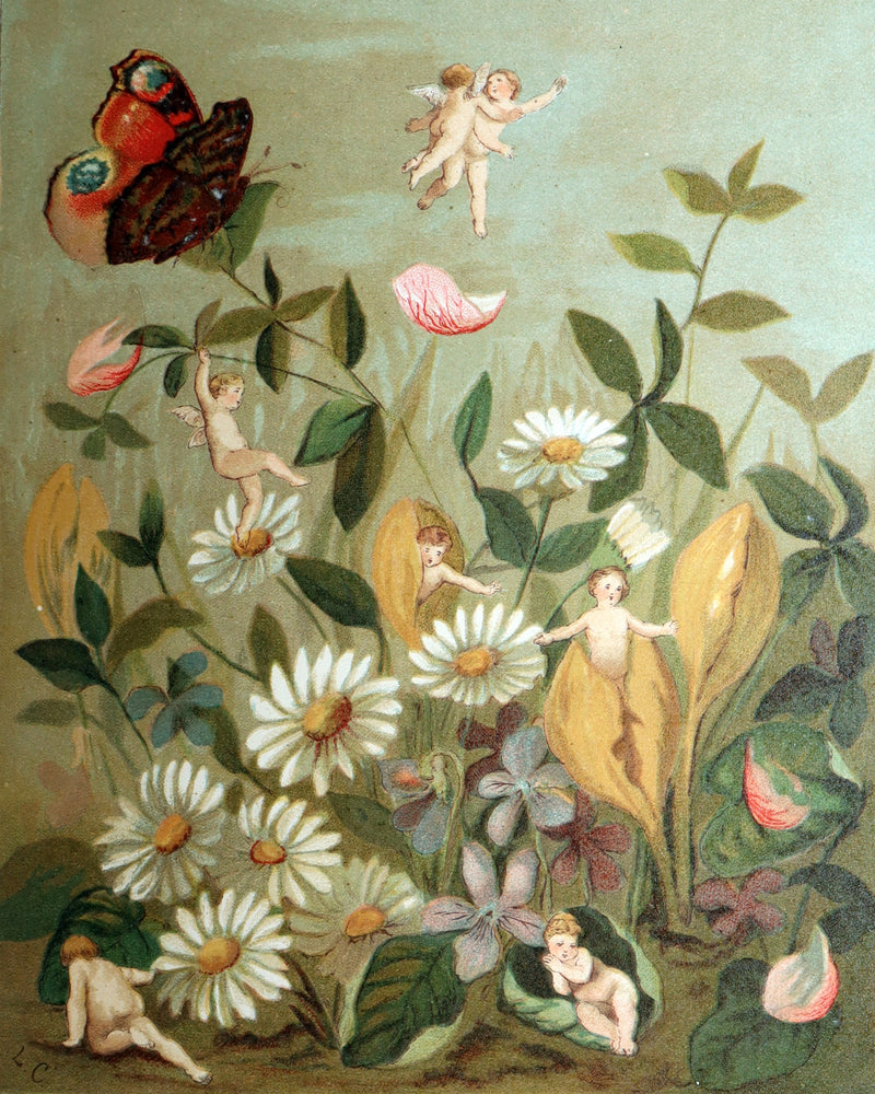 1882 Rare First Edition - Fly-Away Fairies and Baby-Blossoms by L. Clarkson