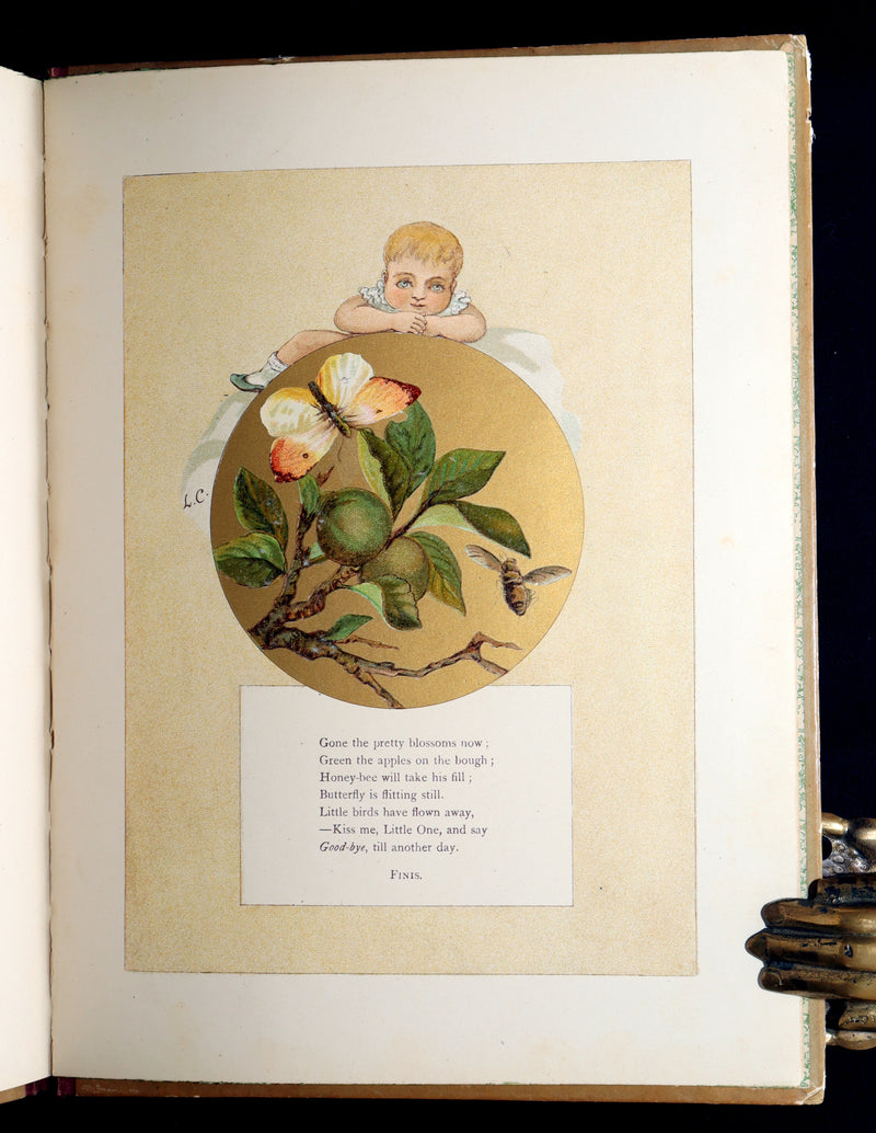 1882 Rare First Edition - Fly-Away Fairies and Baby-Blossoms by L. Clarkson