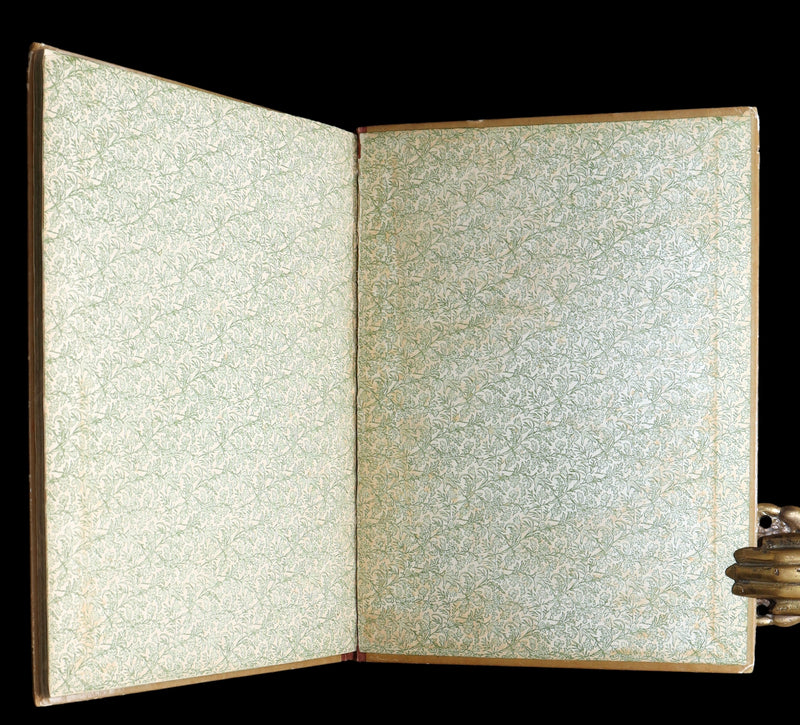 1882 Rare First Edition - Fly-Away Fairies and Baby-Blossoms by L. Clarkson