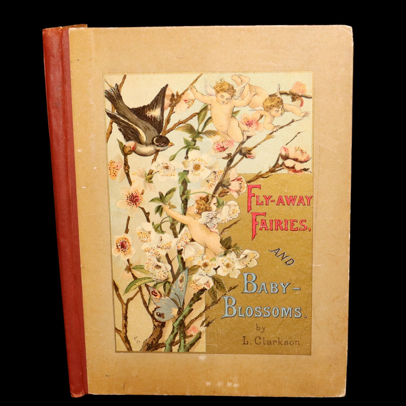 1882 Rare First Edition - Fly-Away Fairies and Baby-Blossoms by L. Clarkson