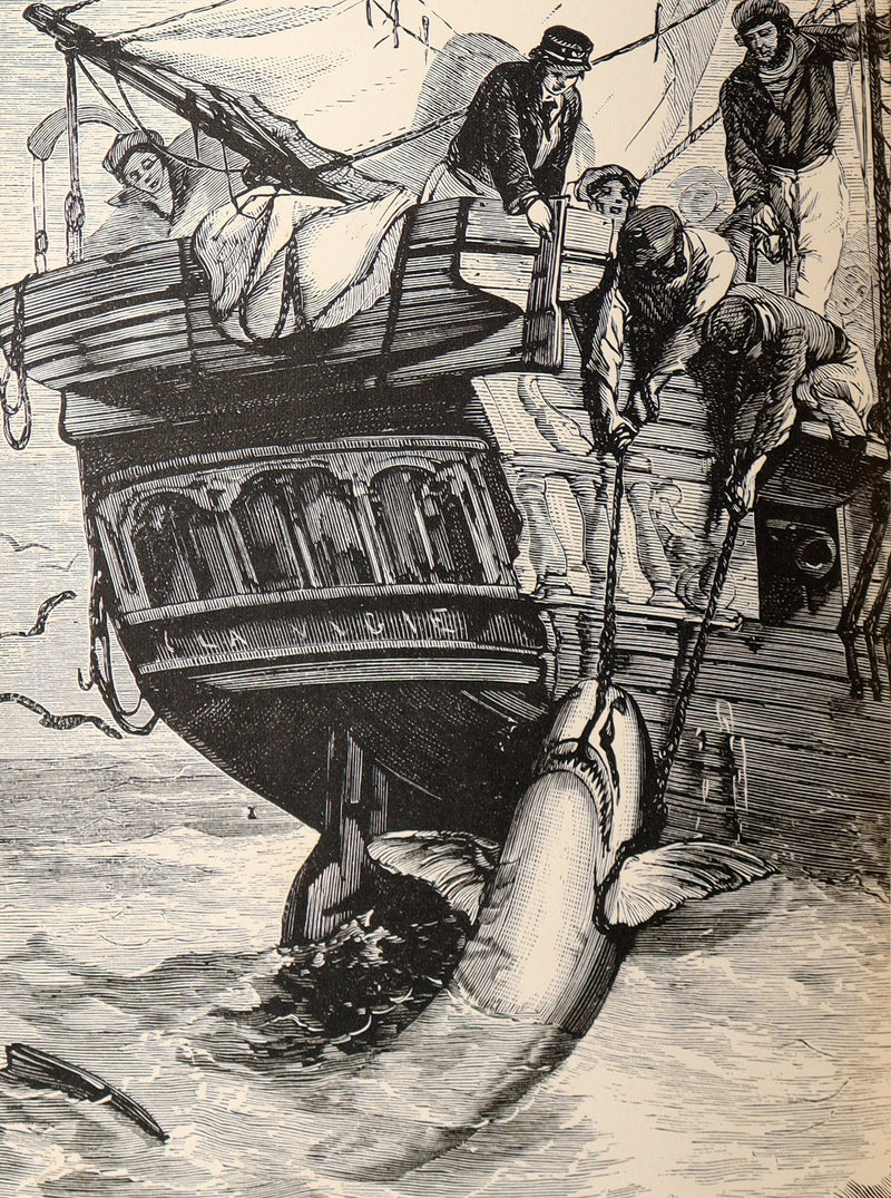 1869 Rare First Appleton’s Juvenile Annual – Illustrated Children’s Gift Book