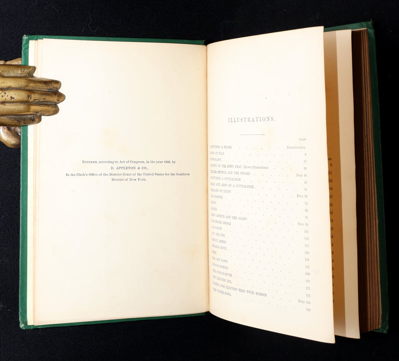 1869 Rare First Appleton’s Juvenile Annual – Illustrated Children’s Gift Book