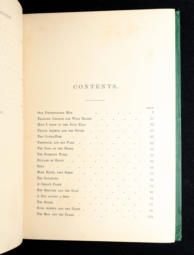 1869 Rare First Appleton’s Juvenile Annual – Illustrated Children’s Gift Book