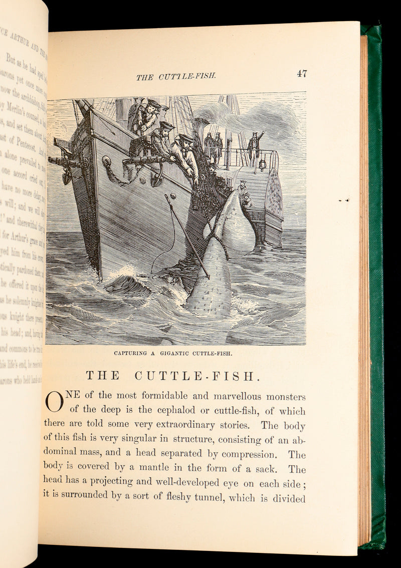 1869 Rare First Appleton’s Juvenile Annual – Illustrated Children’s Gift Book