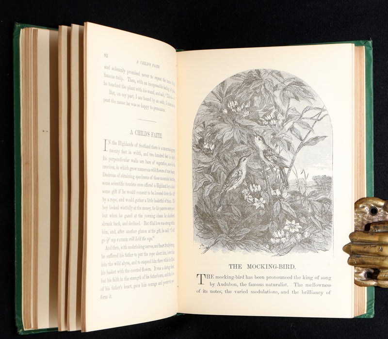 1869 Rare First Appleton’s Juvenile Annual – Illustrated Children’s Gift Book