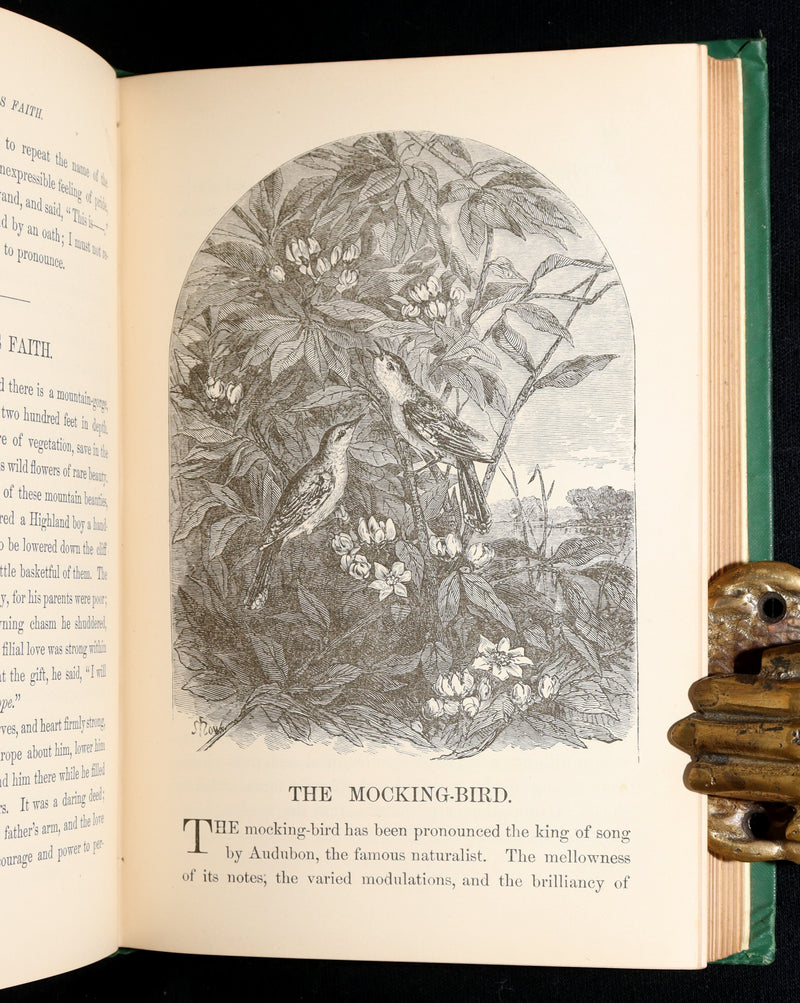 1869 Rare First Appleton’s Juvenile Annual – Illustrated Children’s Gift Book