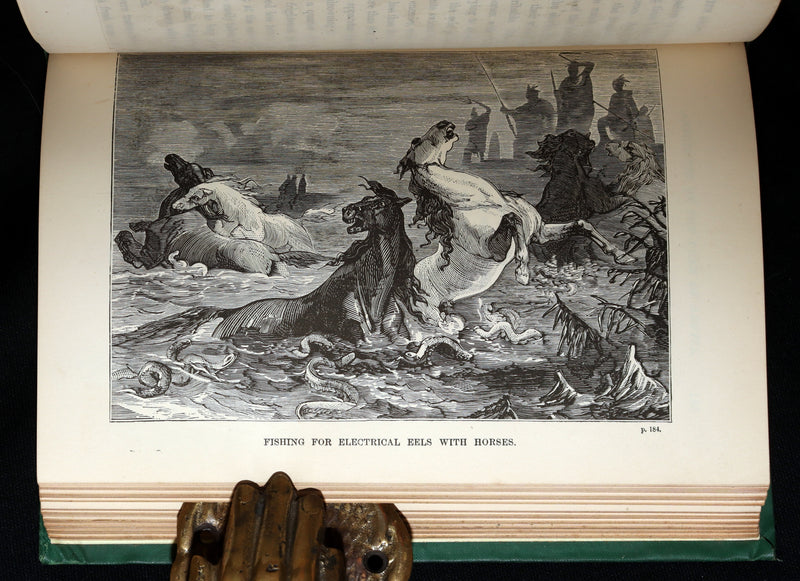 1869 Rare First Appleton’s Juvenile Annual – Illustrated Children’s Gift Book