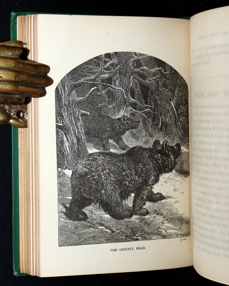 1869 Rare First Appleton’s Juvenile Annual – Illustrated Children’s Gift Book