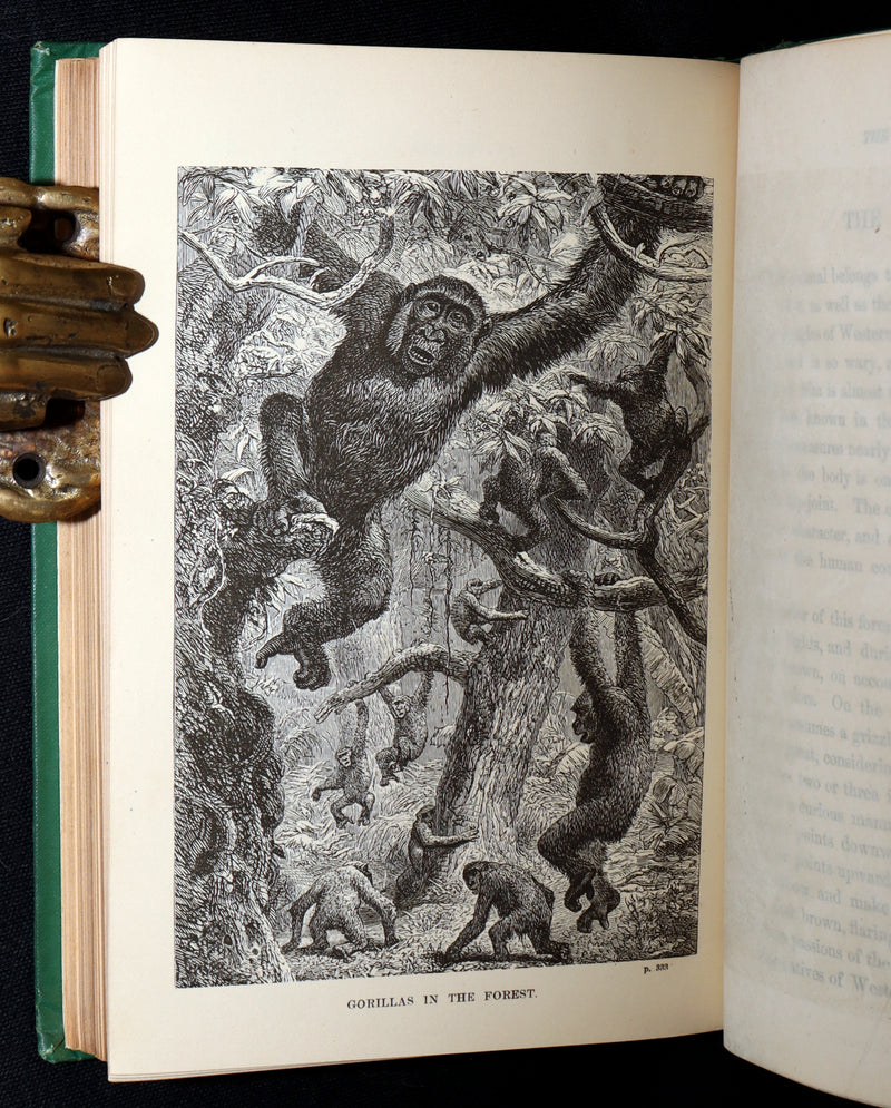 1869 Rare First Appleton’s Juvenile Annual – Illustrated Children’s Gift Book