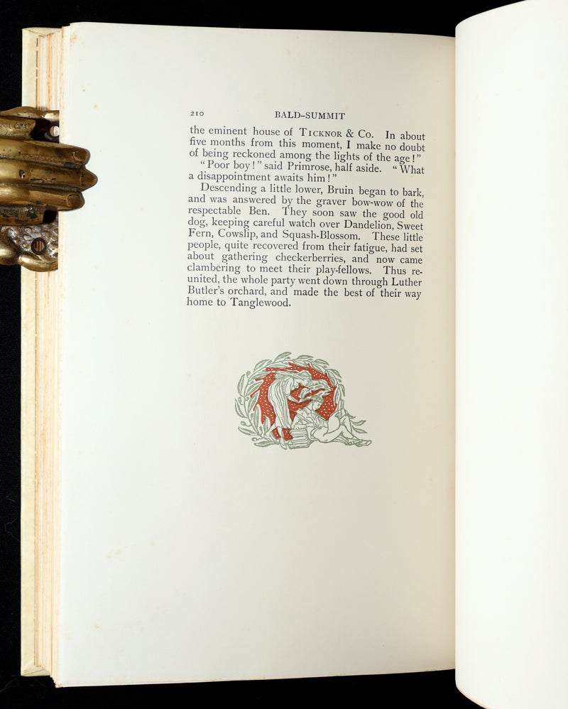 1893 Rare De Luxe Limited Edition - A Wonder Book Illustrated by Walter Crane