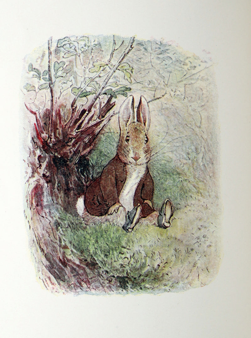 1907 Rare Early Printing – The Tale of Benjamin Bunny by Beatrix Potter
