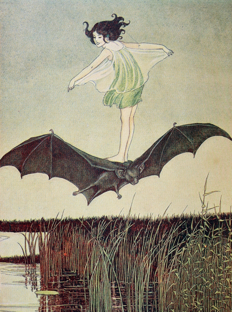 1937 First Edition – The Red Witch by Averil Newell illus. Ida Rentoul Outhwaite