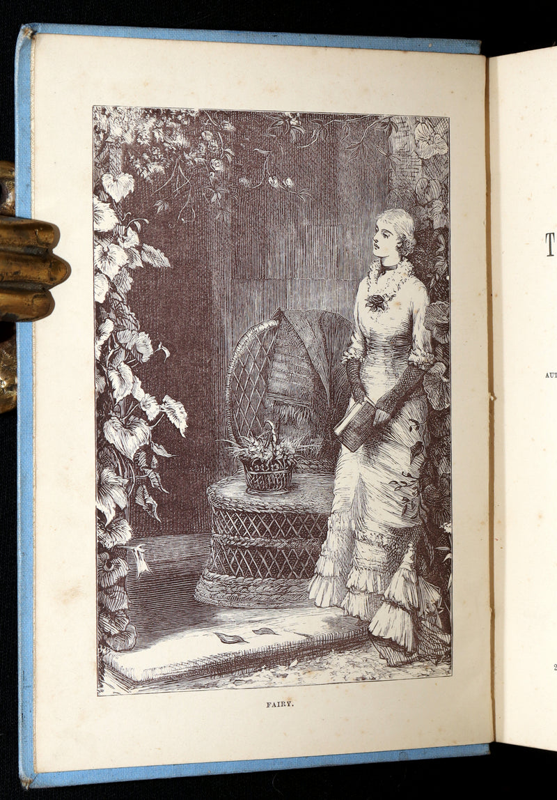 1890 Scarce First Edition - Fairy in the Spider’s Web by A.L.O.E., Illustrated