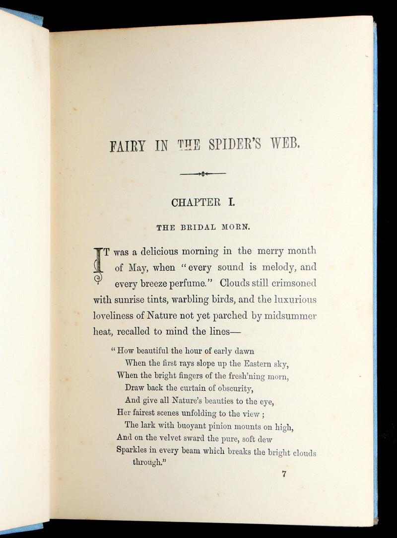 1890 Scarce First Edition - Fairy in the Spider’s Web by A.L.O.E., Illustrated