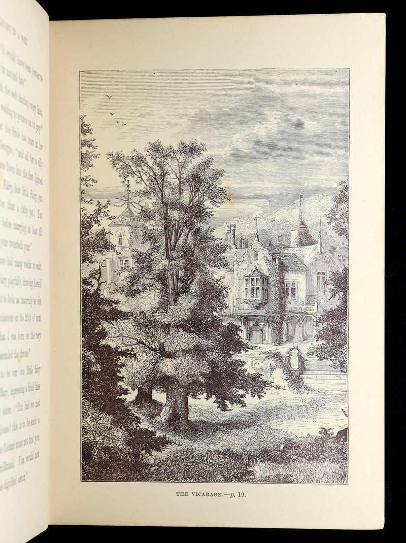 1890 Scarce First Edition - Fairy in the Spider’s Web by A.L.O.E., Illustrated