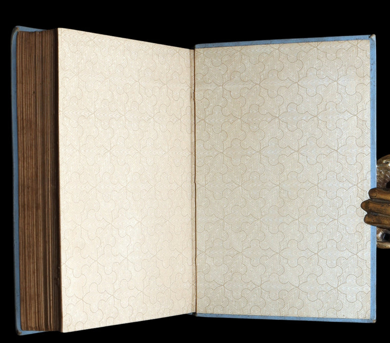 1890 Scarce First Edition - Fairy in the Spider’s Web by A.L.O.E., Illustrated