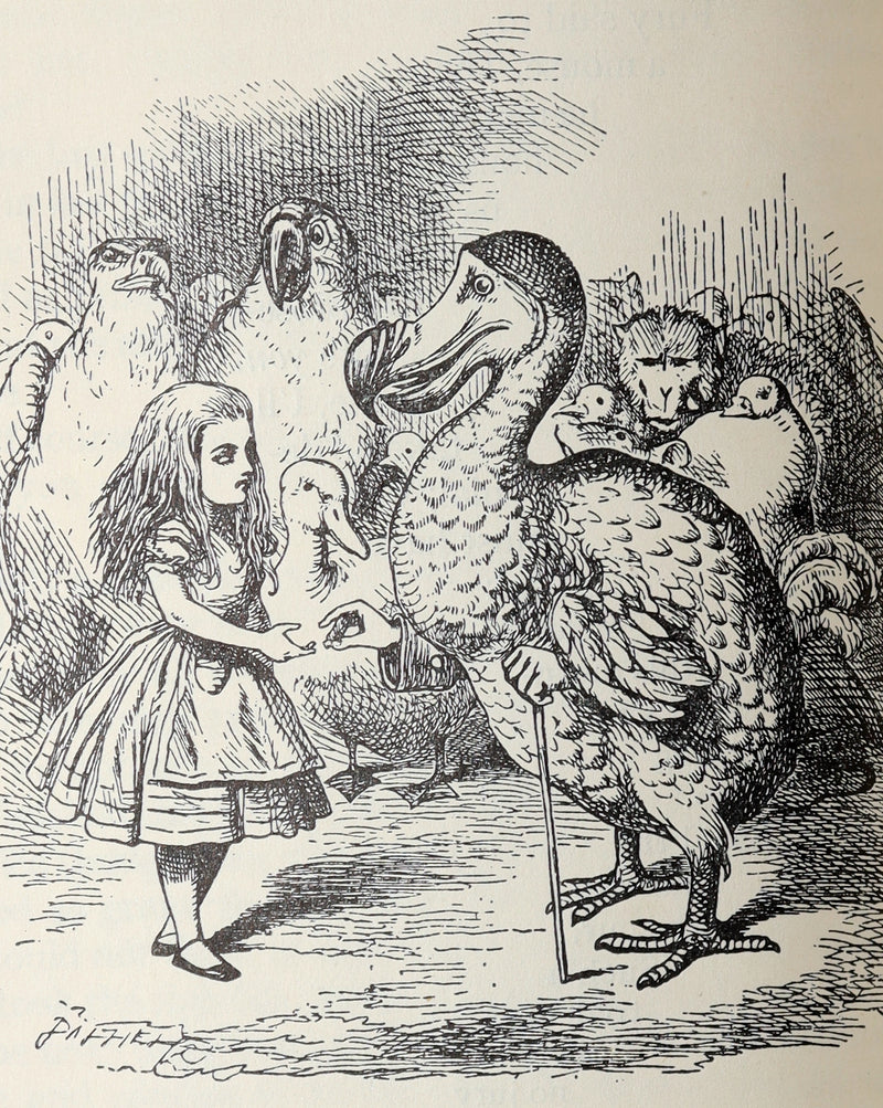 1939 Nonesuch Complete Works of Lewis Carroll - Alice’s Adventures in Wonderland