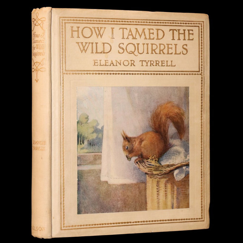 1914 First ED - How I Tamed the Wild Squirrels illustrated by Honor C. Appleton