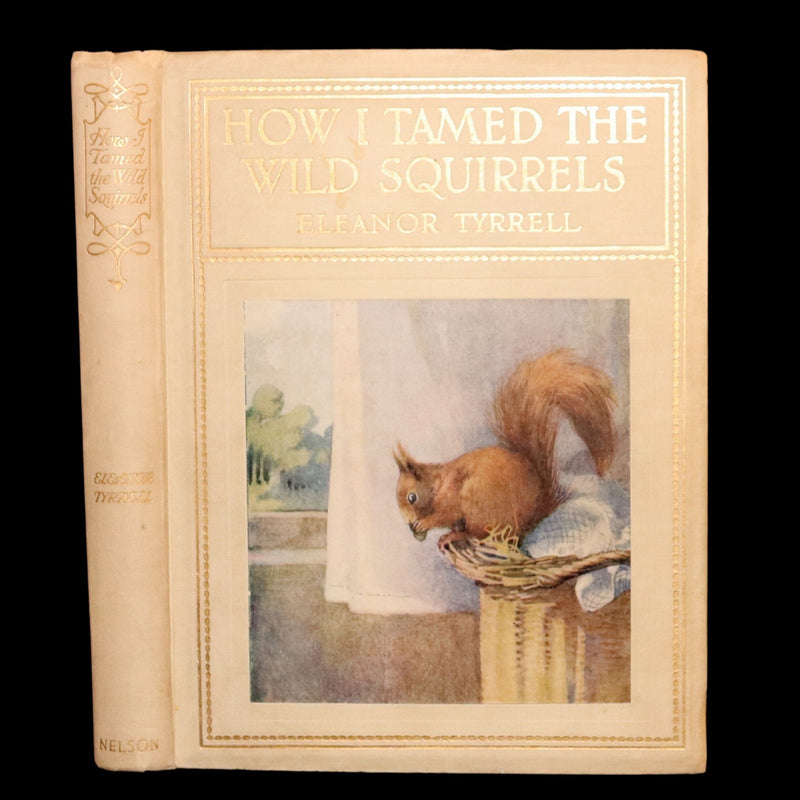 1914 First ED - How I Tamed the Wild Squirrels illustrated by Honor C. Appleton