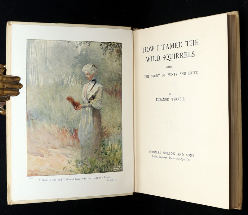 1914 First ED - How I Tamed the Wild Squirrels illustrated by Honor C. Appleton