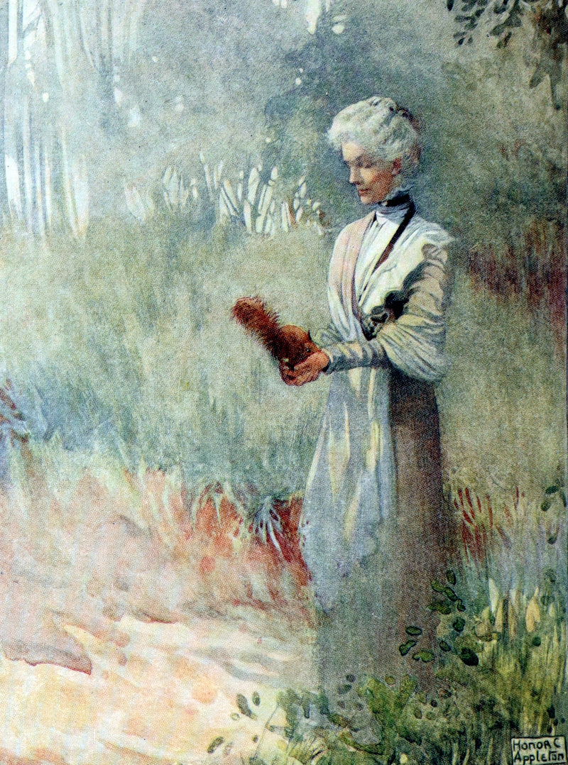 1914 First ED - How I Tamed the Wild Squirrels illustrated by Honor C. Appleton