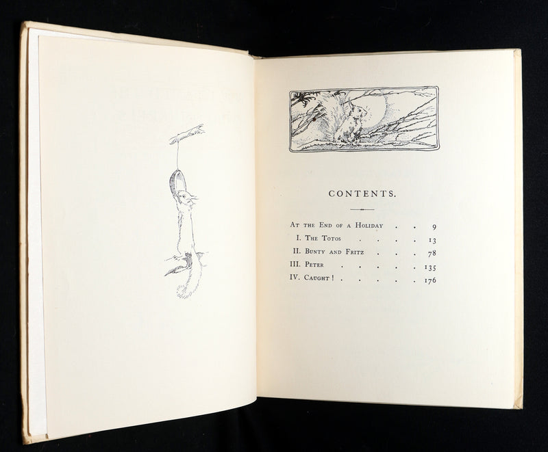1914 First ED - How I Tamed the Wild Squirrels illustrated by Honor C. Appleton