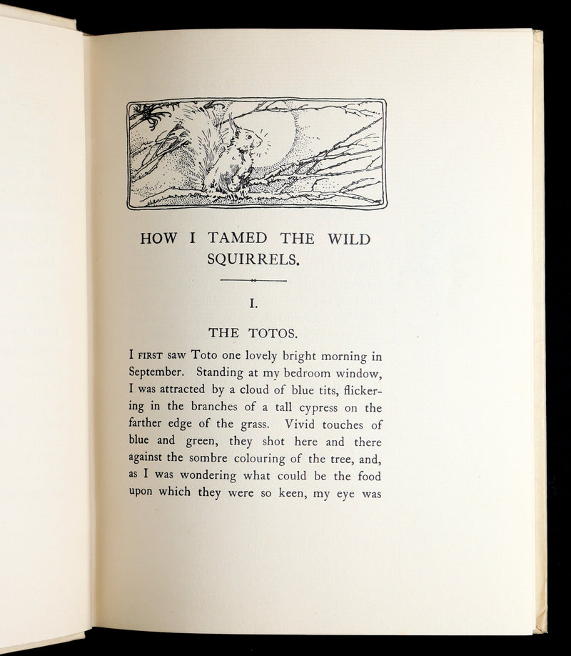 1914 First ED - How I Tamed the Wild Squirrels illustrated by Honor C. Appleton