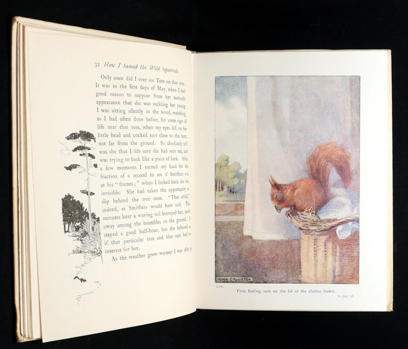 1914 First ED - How I Tamed the Wild Squirrels illustrated by Honor C. Appleton