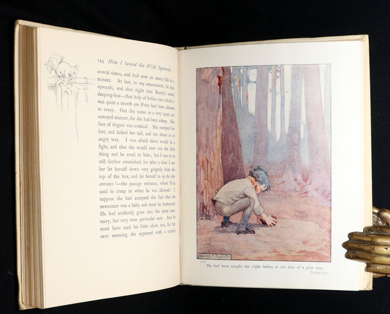 1914 First ED - How I Tamed the Wild Squirrels illustrated by Honor C. Appleton