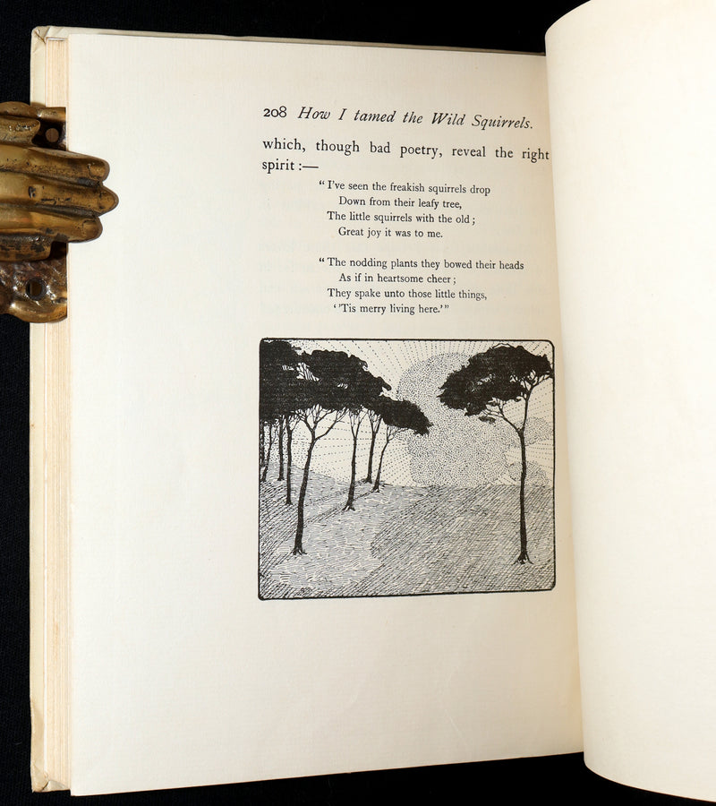 1914 First ED - How I Tamed the Wild Squirrels illustrated by Honor C. Appleton