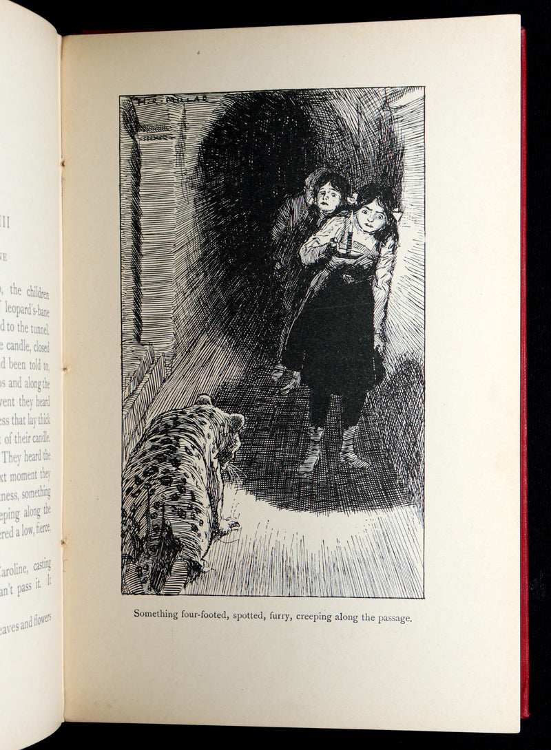 1911 Rare 1stED - The Wonderful Garden, Language of Flowers by Edith Nesbit