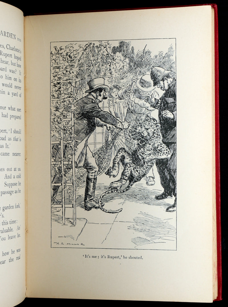 1911 Rare 1stED - The Wonderful Garden, Language of Flowers by Edith Nesbit