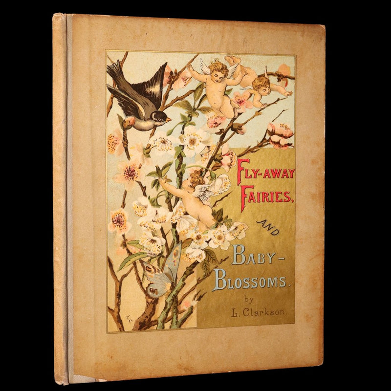 1882 Rare First Edition - Fly-Away Fairies and Baby-Blossoms by L. Clarkson