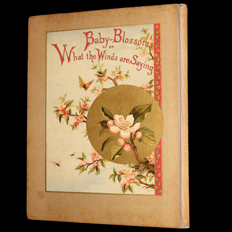 1882 Rare First Edition - Fly-Away Fairies and Baby-Blossoms by L. Clarkson