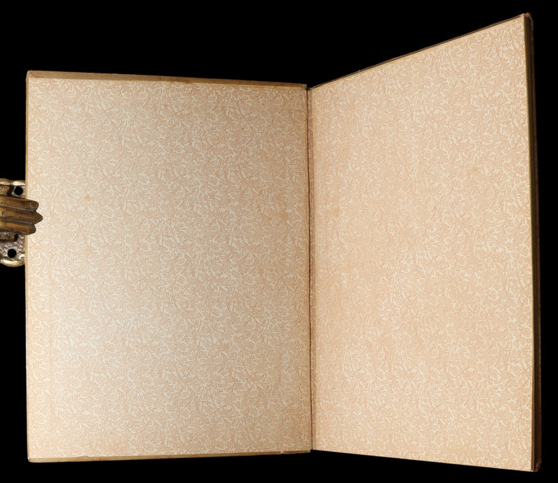 1882 Rare First Edition - Fly-Away Fairies and Baby-Blossoms by L. Clarkson