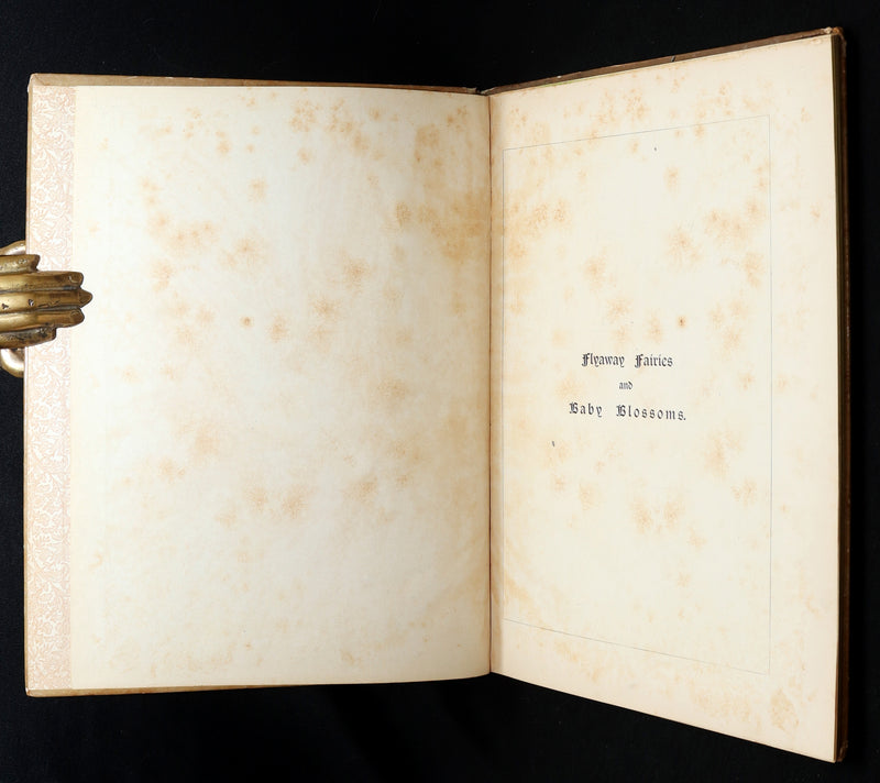 1882 Rare First Edition - Fly-Away Fairies and Baby-Blossoms by L. Clarkson