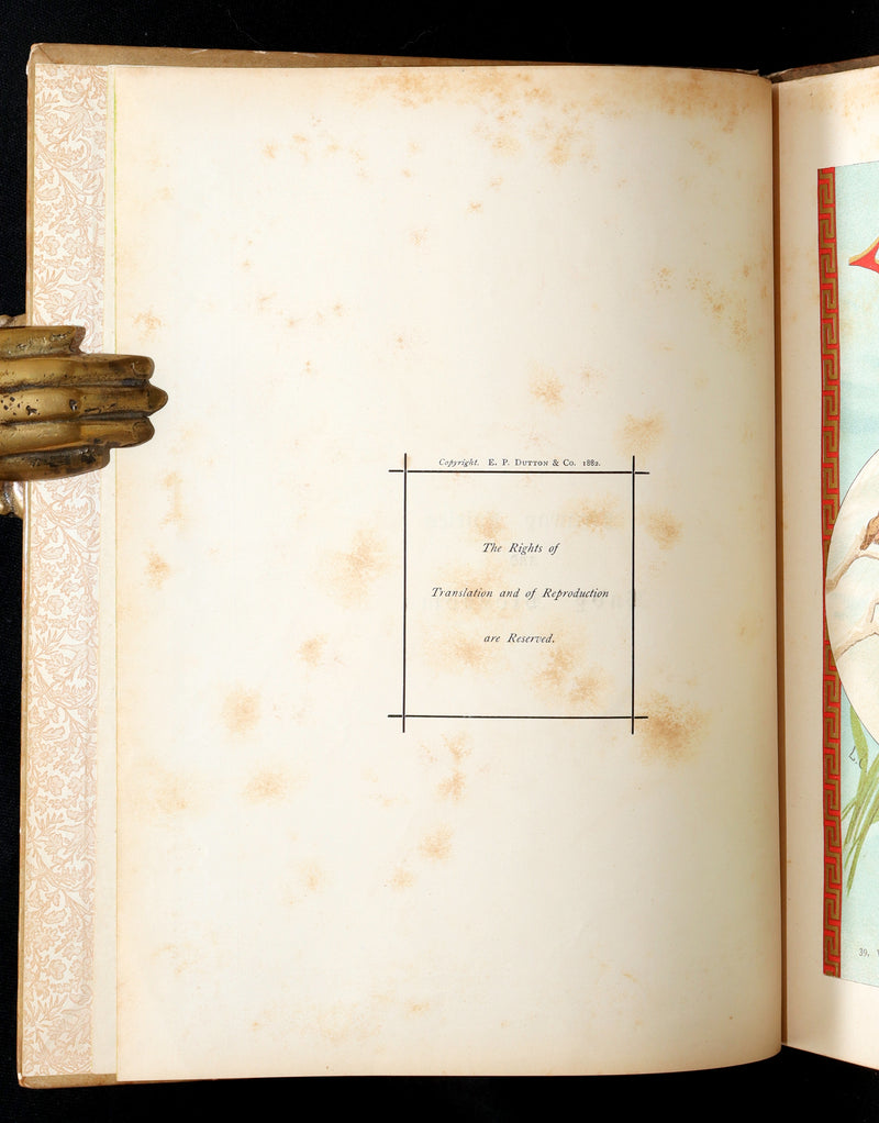 1882 Rare First Edition - Fly-Away Fairies and Baby-Blossoms by L. Clarkson