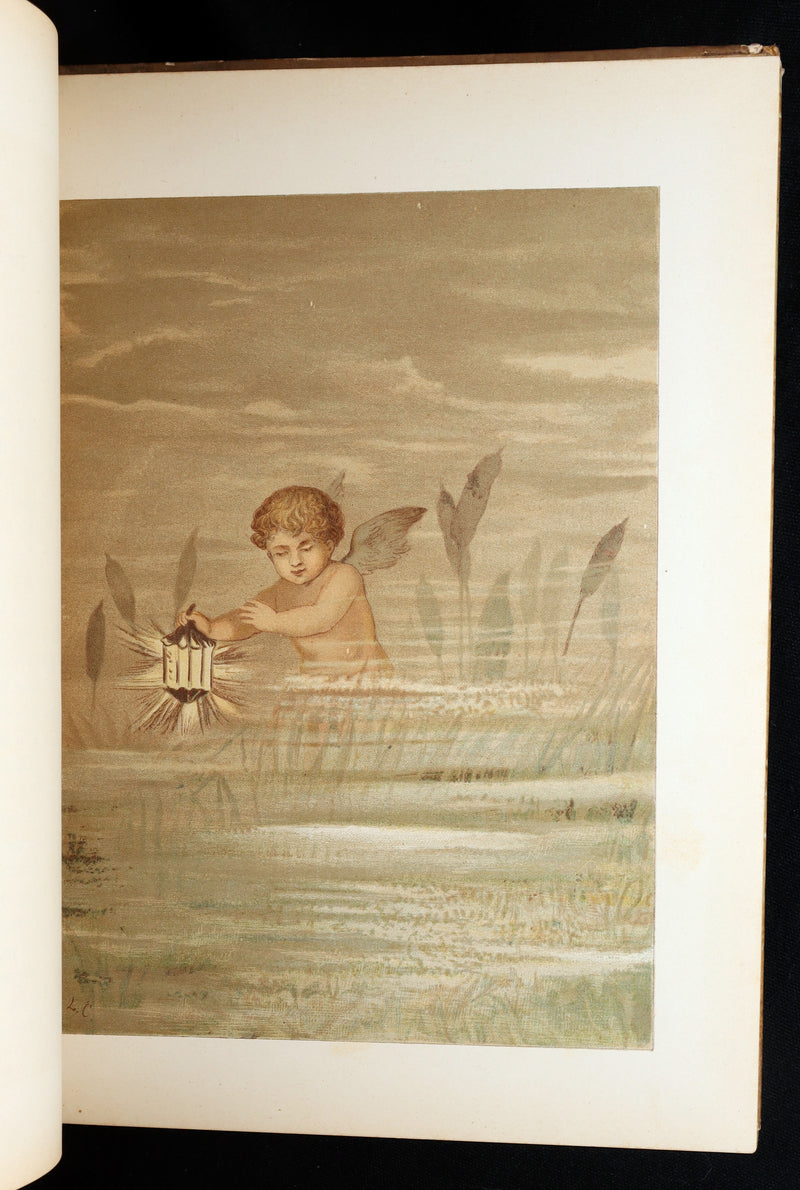 1882 Rare First Edition - Fly-Away Fairies and Baby-Blossoms by L. Clarkson