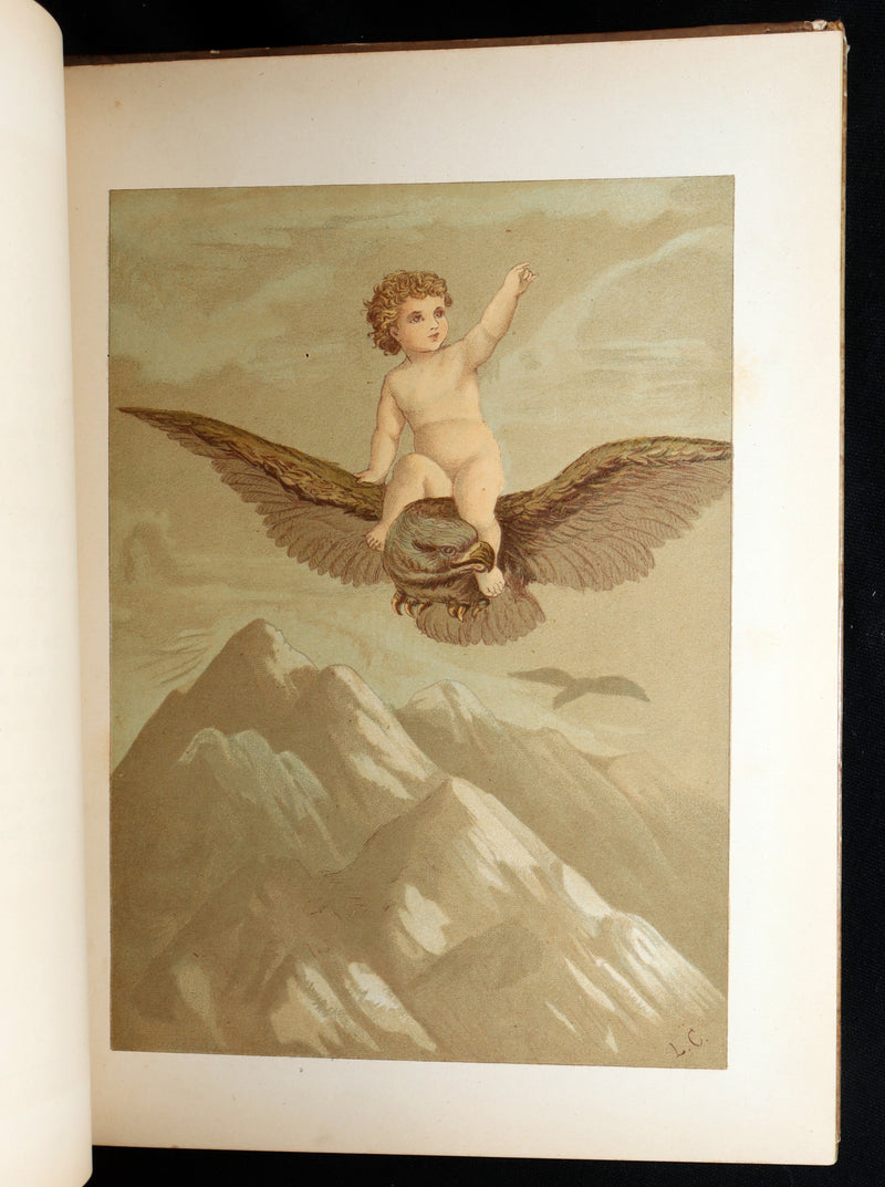 1882 Rare First Edition - Fly-Away Fairies and Baby-Blossoms by L. Clarkson