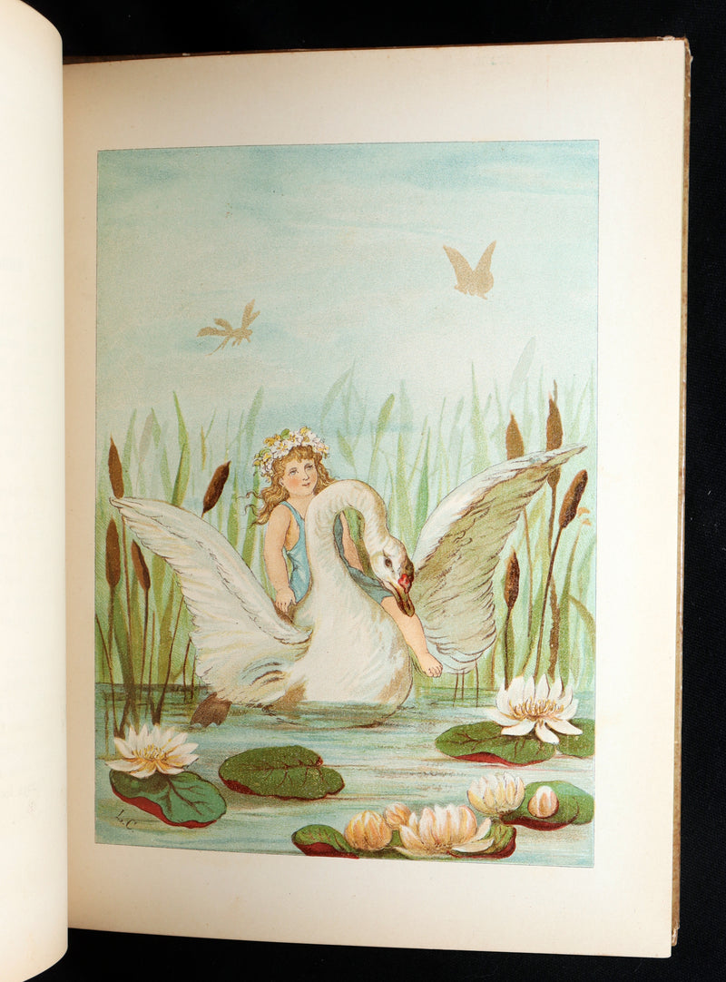 1882 Rare First Edition - Fly-Away Fairies and Baby-Blossoms by L. Clarkson